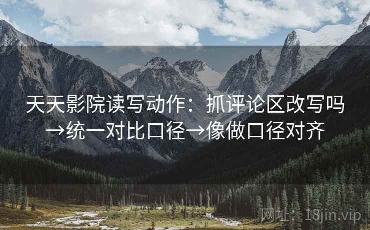 天天影院读写动作：抓评论区改写吗→统一对比口径→像做口径对齐